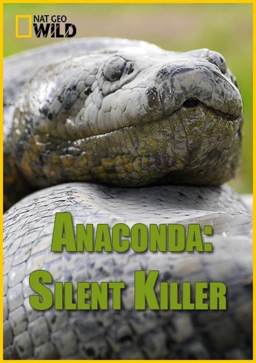 Anakonda – tichý zabiják