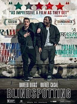 blindspotting