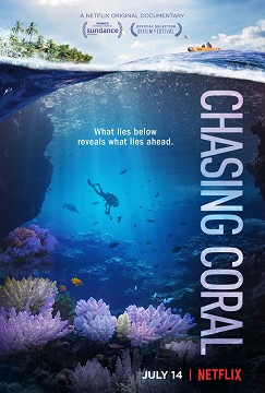 chasing-coral