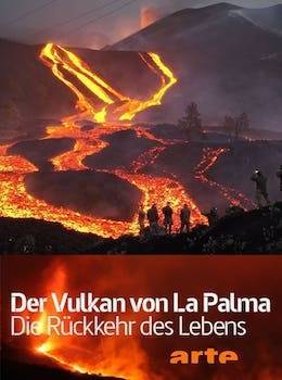 La Palma: Láva a život
