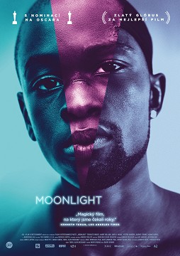 moonlight