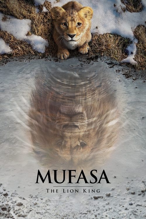 mufasa-lvi-kral-2024