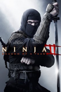 ninja-shadow-of-a-tear