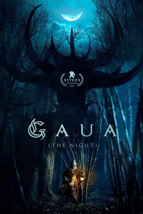 noche-2025