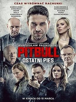 pitbull-ostatni-pies