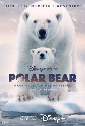 polar-bear-2022