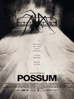 possum