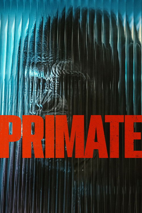 primat-2025
