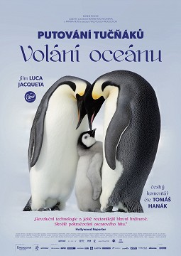 putovani-tucnaku-volani-oceanu