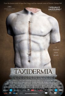 taxidermia