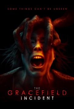 the-gracefield-incident