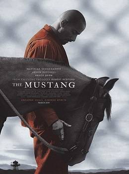 the-mustang